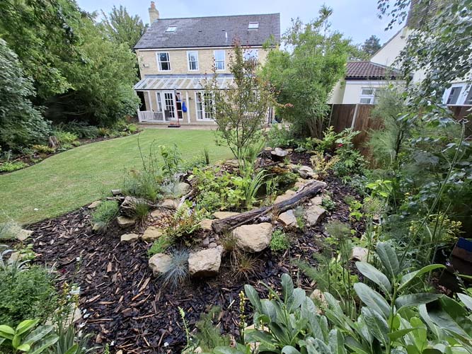 Wildlife pond 1 Year Maturity