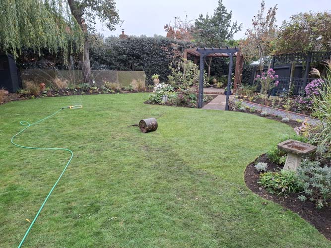 suburban Garden Renewal for lower maintenance