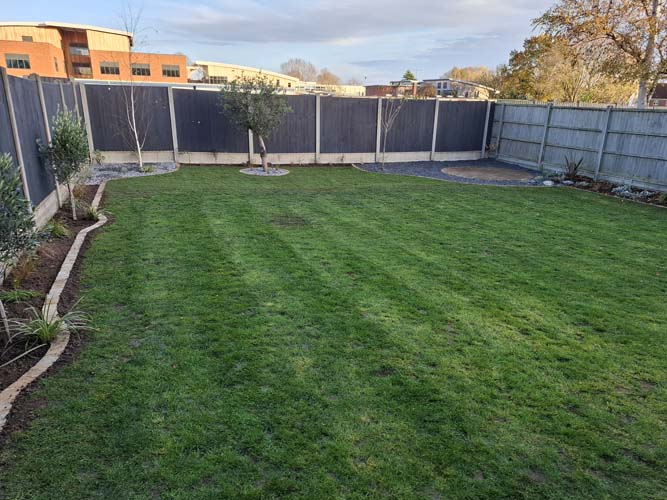 Rejuvenate with new lawn, trees for privacy and borders