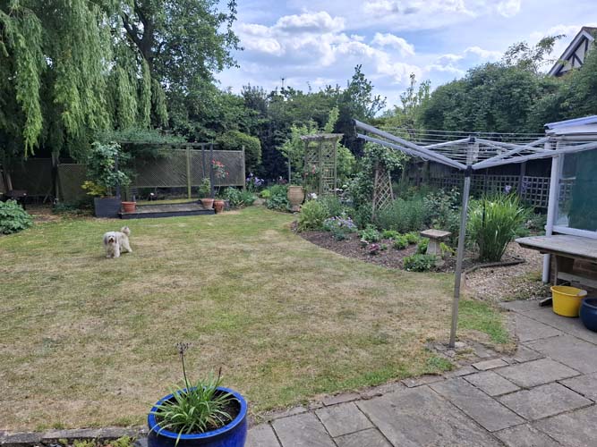 suburban Garden Renewal for lower maintenance