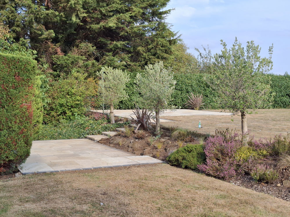 Hot split level terrace patio with olive tree border