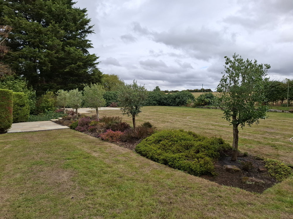 Hot split level terrace patio with olive tree border