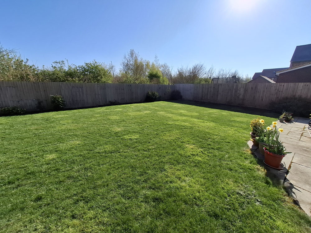 Large New Build makeover Curved lawn, borders including shed and greenhouse