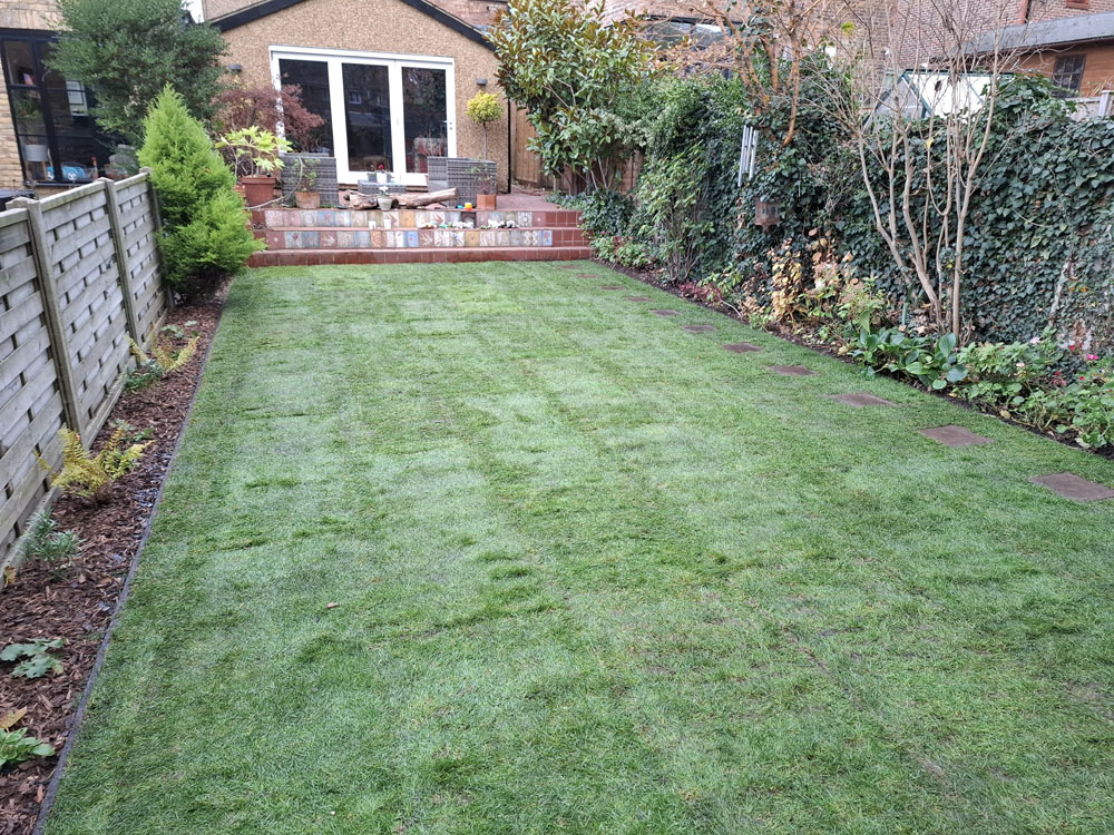 Re-Turfing and new border