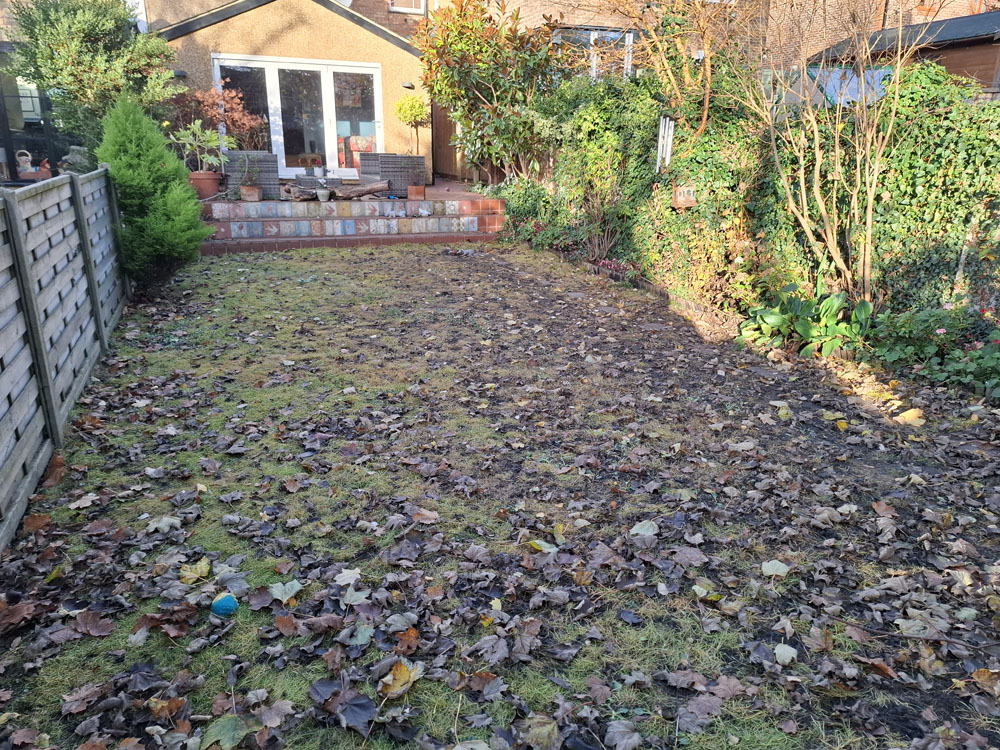 Re-Turfing and new border